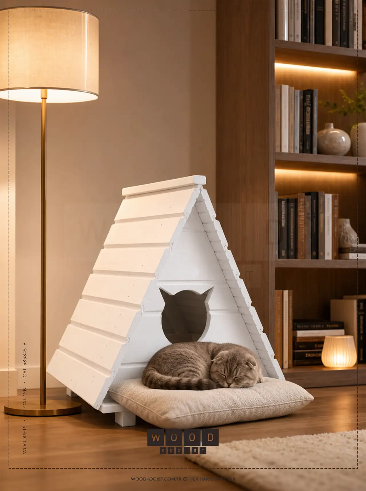 Ahşap kitaplık yanındaki sıcak bir okuma köşesinde, önündeki minderde uyuyan Scottish Fold kedisiyle W-CAT-1SB beyaz kedi evi.